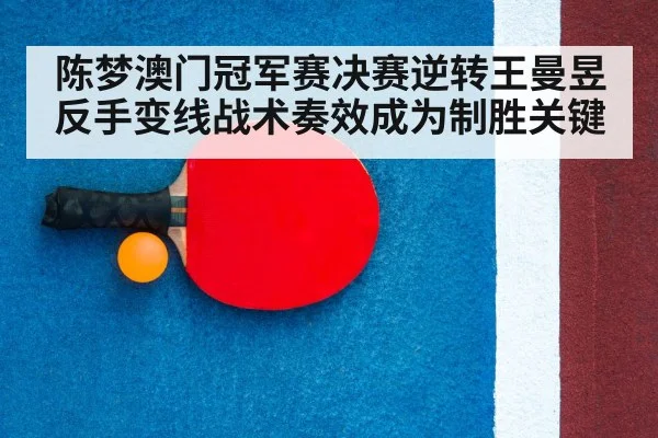 table tennis racket